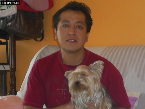 La foto del perro