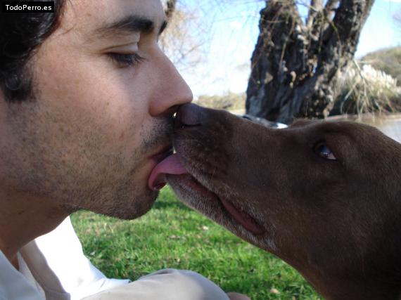 La foto del perro