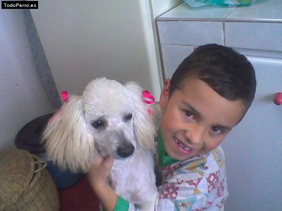 La foto del perro