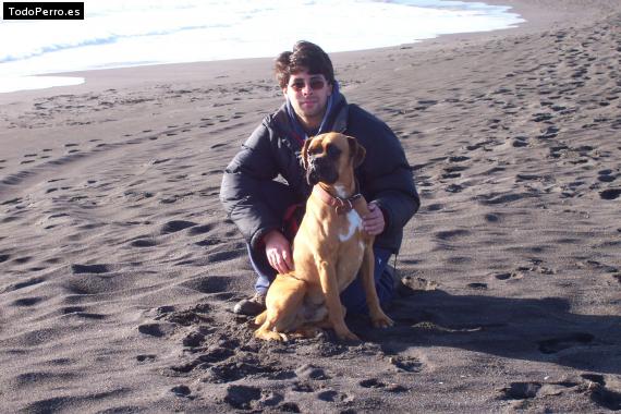 La foto del perro
