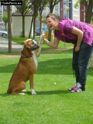 La foto del perro