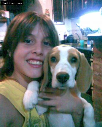 La foto del perro