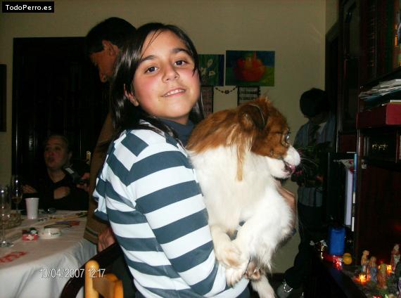 La foto del perro