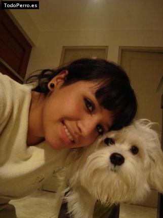 La foto del perro