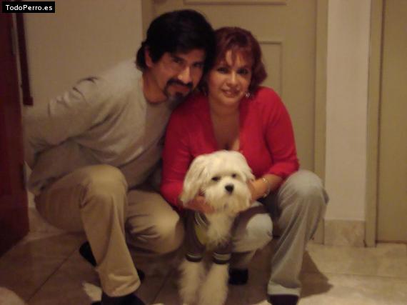 La foto del perro