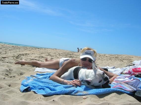 La foto del perro
