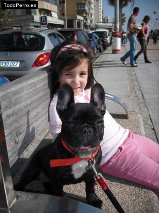 La foto del perro