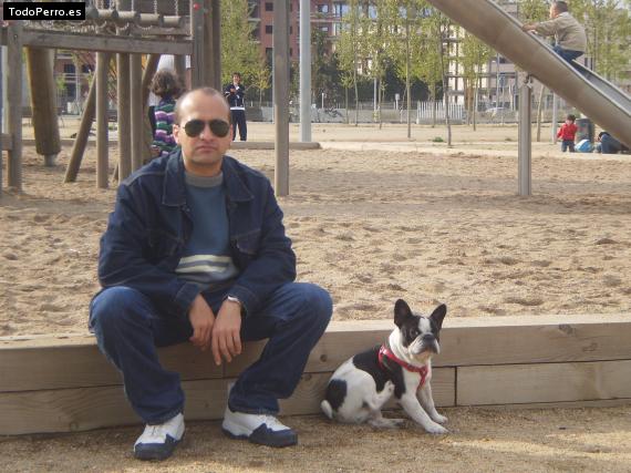 La foto del perro