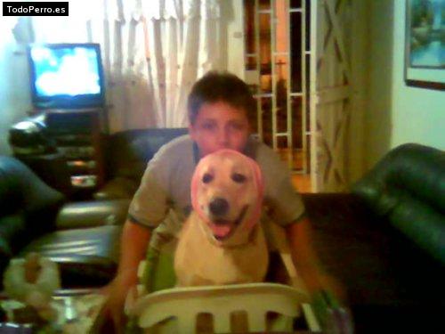 La foto del perro