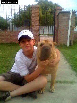 La foto del perro