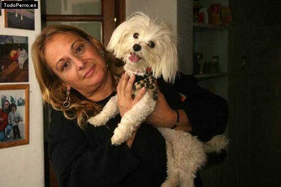 La foto del perro
