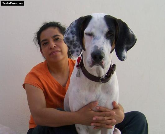 La foto del perro