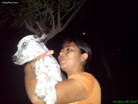La foto del perro
