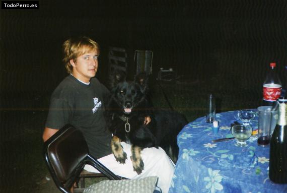 La foto del perro