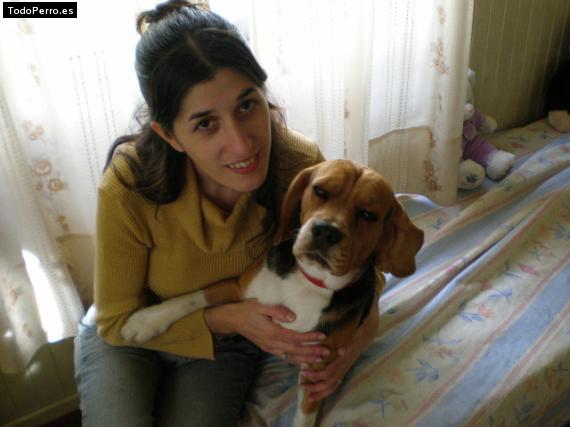 La foto del perro