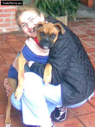 La foto del perro