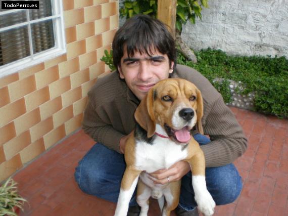 La foto del perro