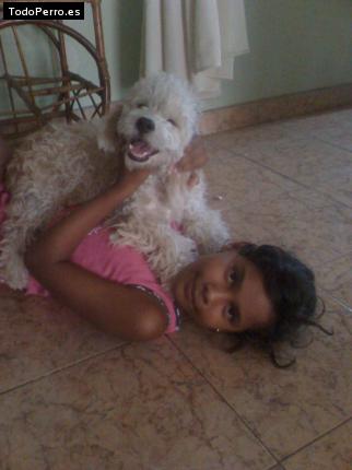 La foto del perro