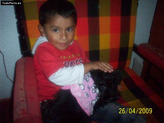 La foto del perro