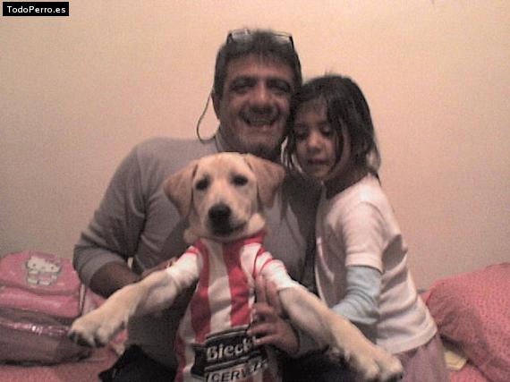 La foto del perro