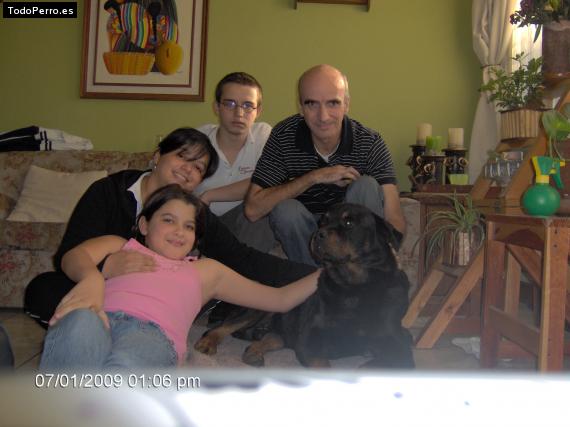 La foto del perro