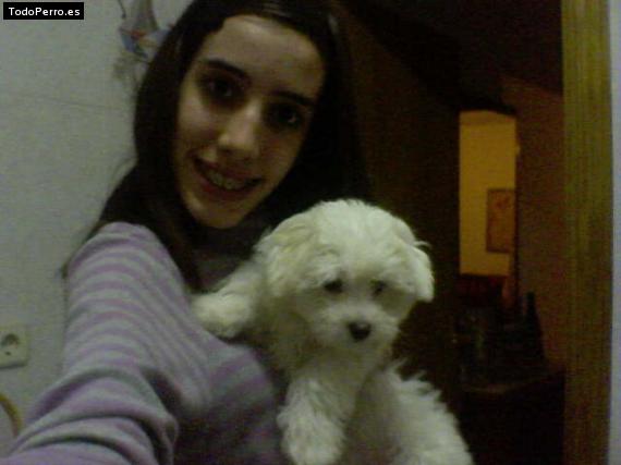 Foto del perro Wendy