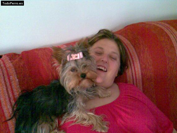 La foto del perro