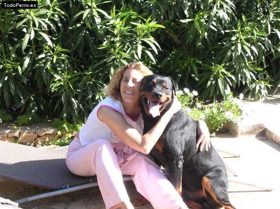 La foto del perro