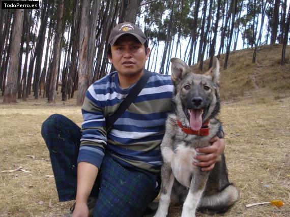 La foto del perro