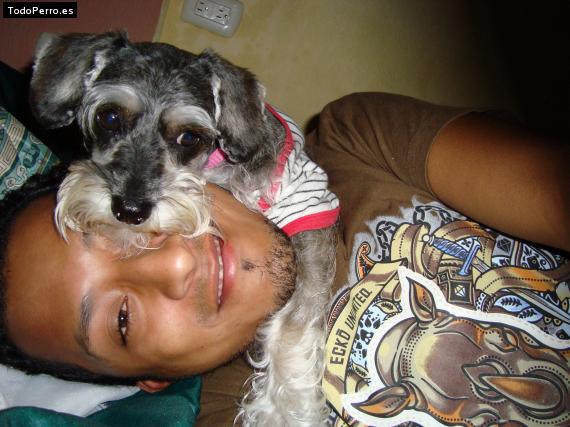 La foto del perro