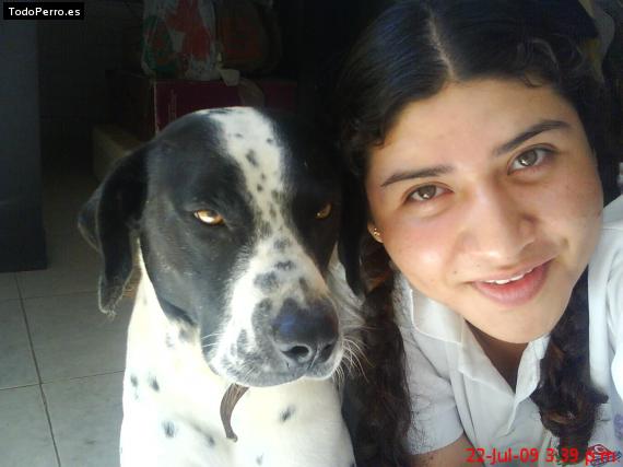La foto del perro