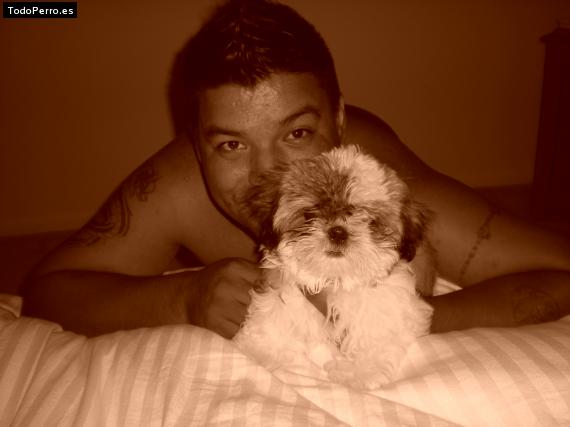 La foto del perro