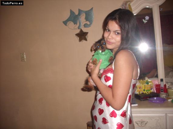 La foto del perro