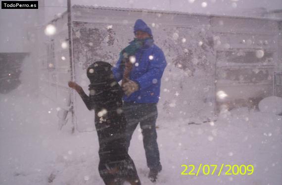 La foto del perro