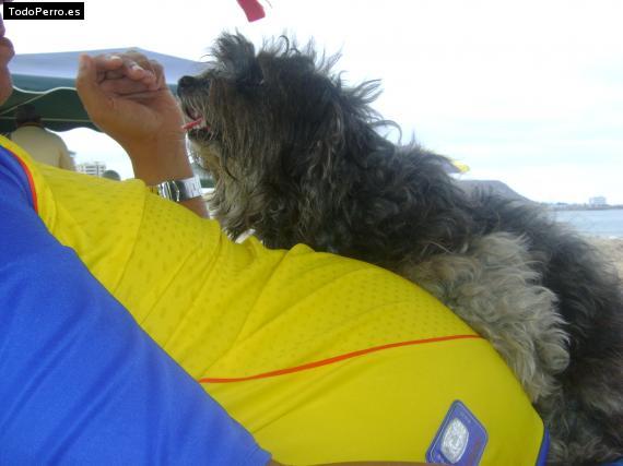 La foto del perro