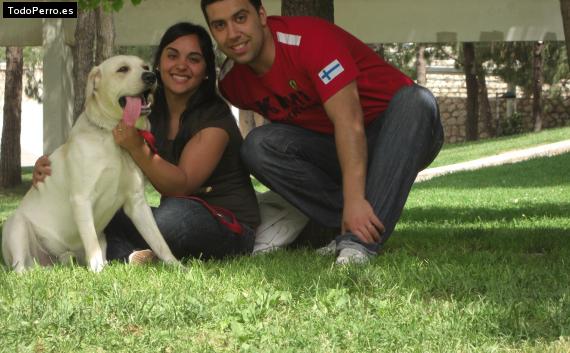La foto del perro