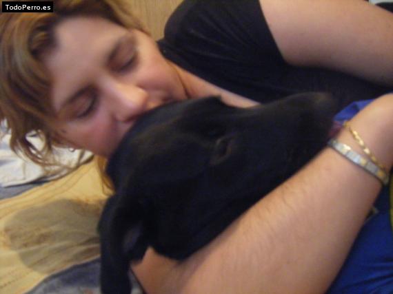 La foto del perro