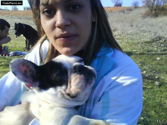 La foto del perro