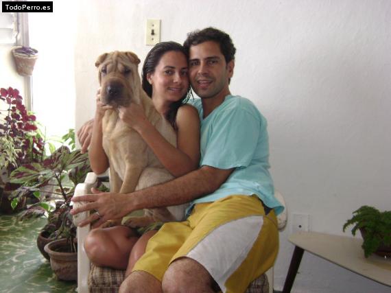 La foto del perro