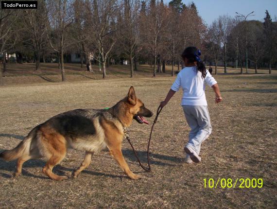 La foto del perro