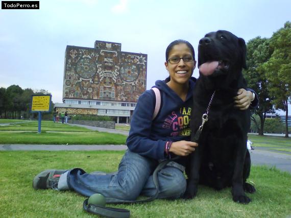 La foto del perro