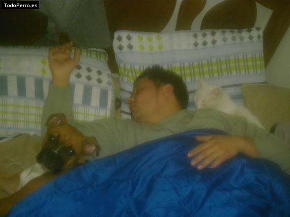 La foto del perro