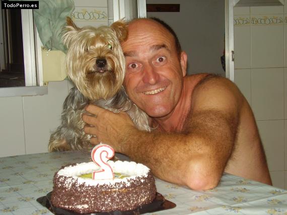La foto del perro