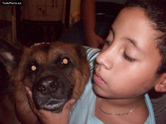 La foto del perro