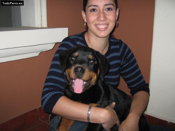 La foto del perro