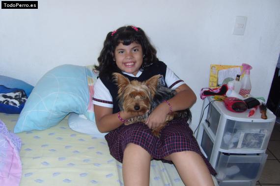 La foto del perro