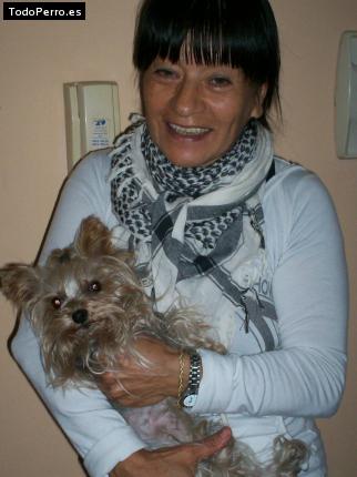 La foto del perro