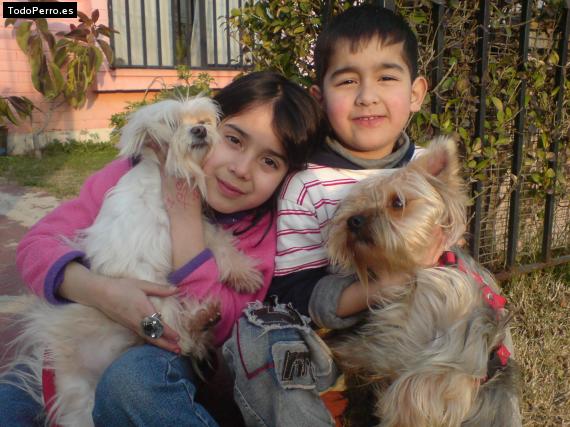 La foto del perro