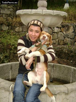 La foto del perro