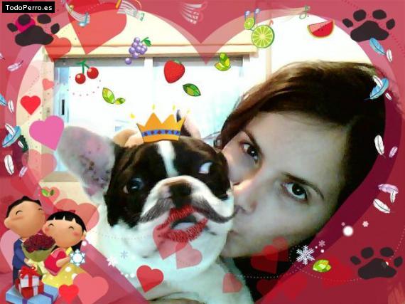 La foto del perro